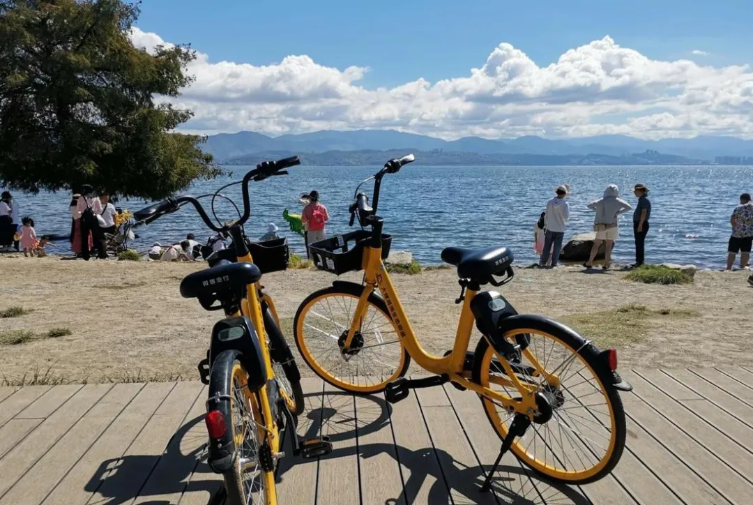 大量德国游客涌入大理,打着旅游的幌子,不逛喜洲古镇,不吃雕梅,为什么?