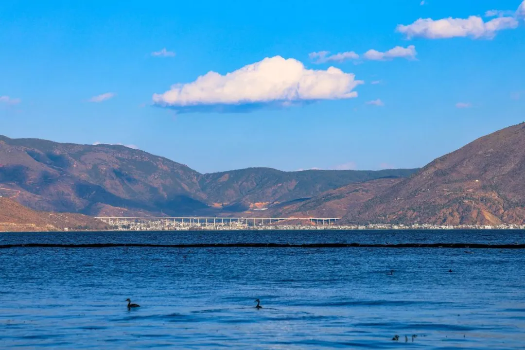 大量韩国人涌入云南大理,打着旅游的名义,不挤苍山不逛洋人街,究竟意欲何为?