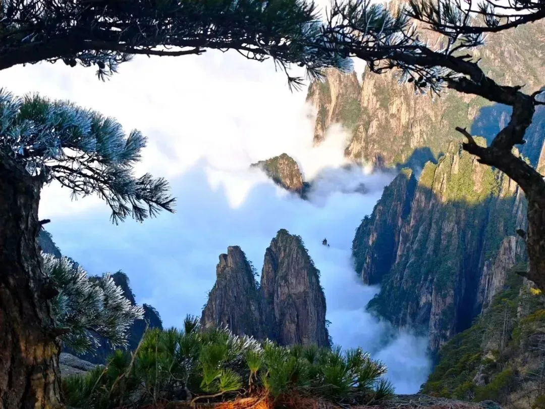 三八妇女节全国这些景点免费