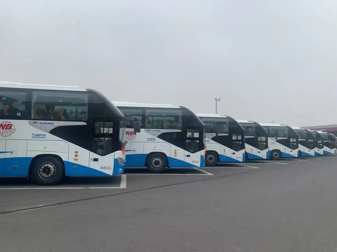 宁波:景区惠民直通车上新多条赏花专线,往返38元起