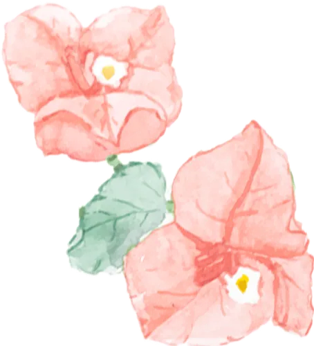 有免票!“三八”妇女节,北京这些景区送上专属福利,汇总来了——