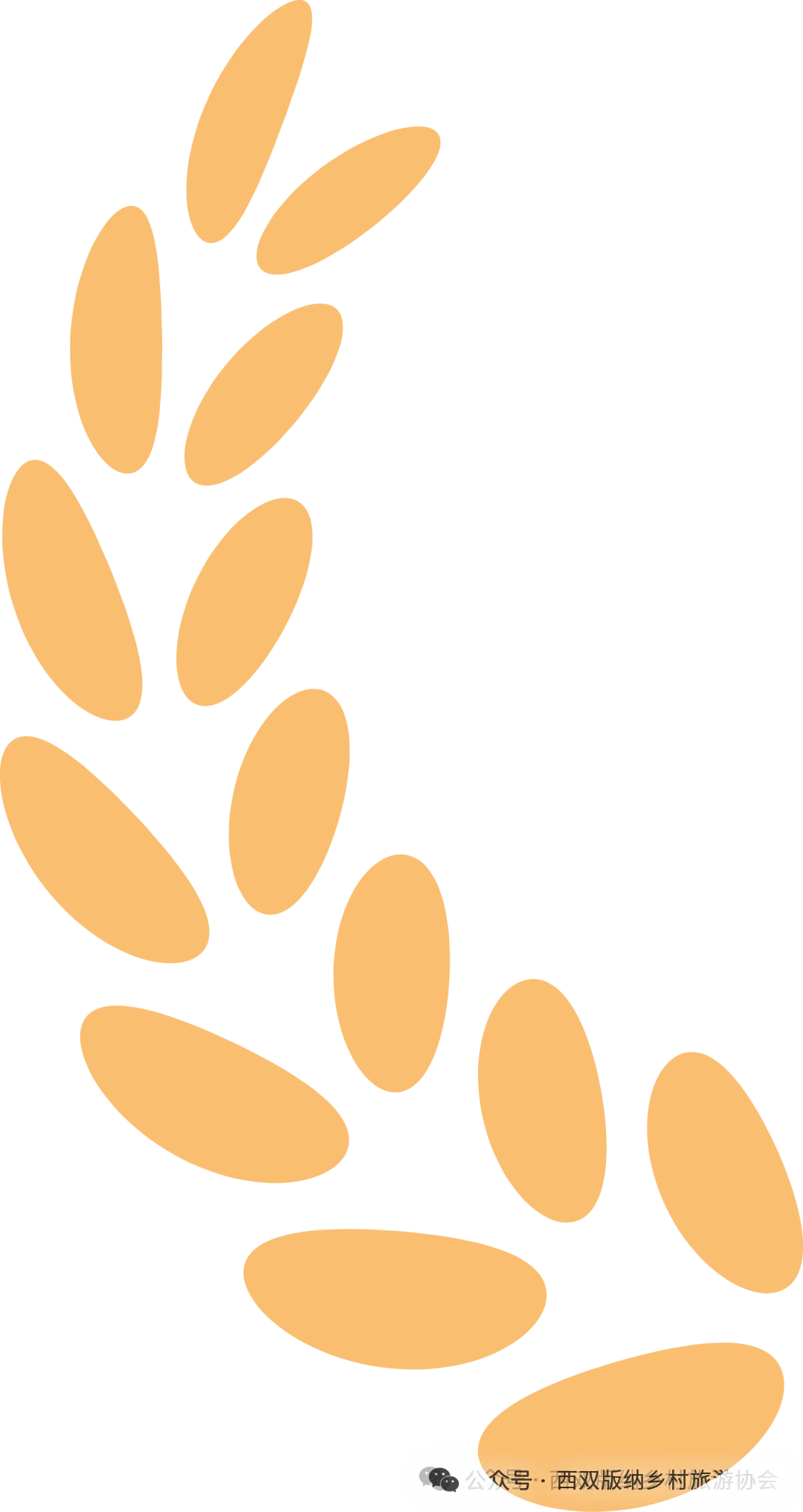 西双版纳州乡村旅游协会简报 · 协会倡议书《汇聚爱心,助力边境少年体育梦》