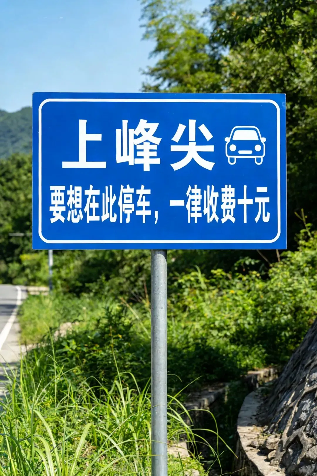 野生景点,收费十元!