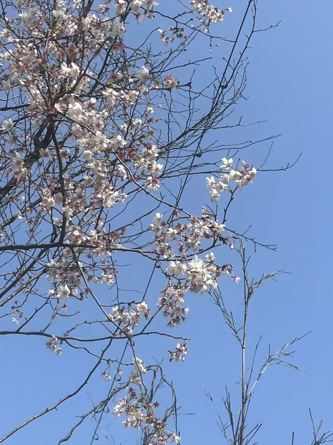 亲子徒步绍兴桃花源景区—老鹰嘴瀑布区