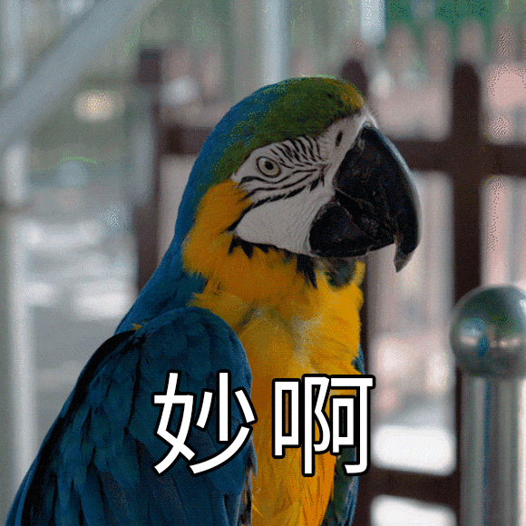 2026广州三八妇女节免费/优惠景区大汇总!