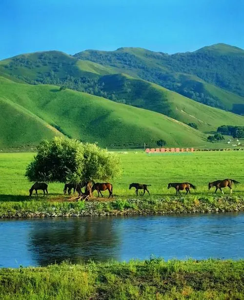 通辽著名的旅游景点——科尔沁草原