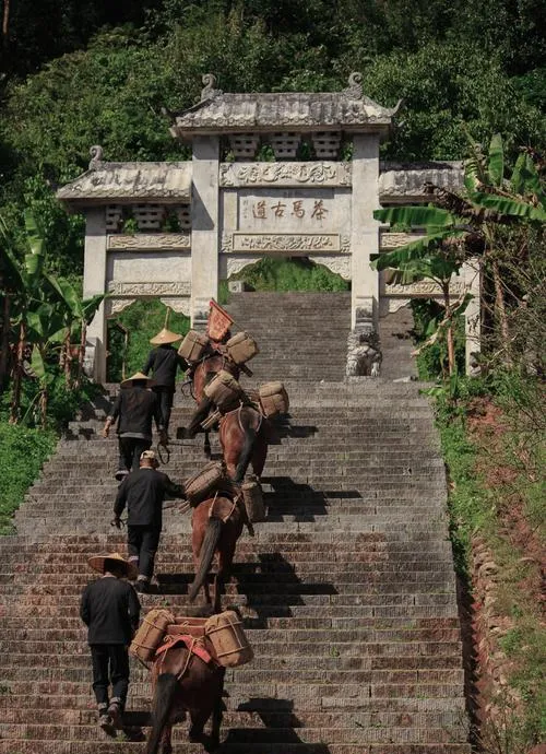普洱著名的旅游景点——茶马古道