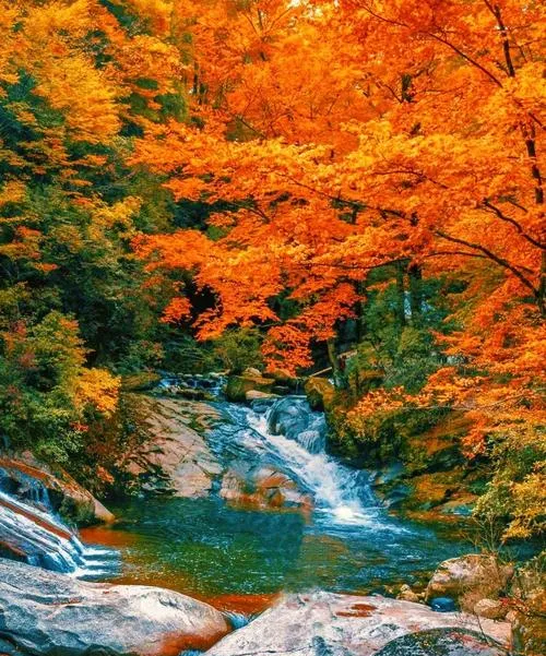 四川巴中著名的旅游景点——南江光雾山