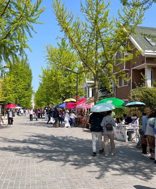 大量巴基斯坦游客涌入大连,打着旅游的幌子,不逛森林动物园,不吃海凉粉,为什么?