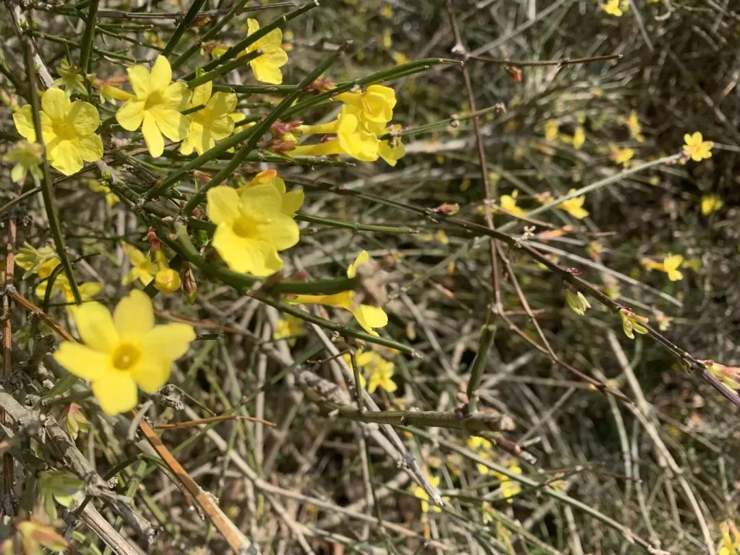 景区的厕所真是令人堪忧