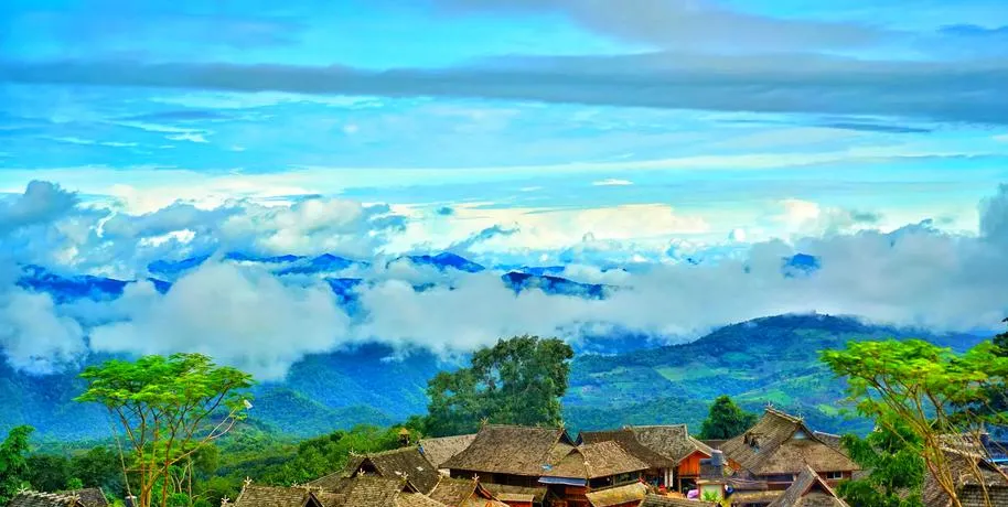 大量德国游客涌入普洱,打着旅游的幌子,不逛普洱茶马古道,不吃普洱三宝,为什么?