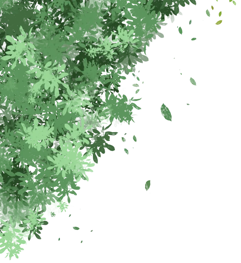 春风有信,芳华灼灼|致敬长沙涉外旅游职业中专每一位了不起的她