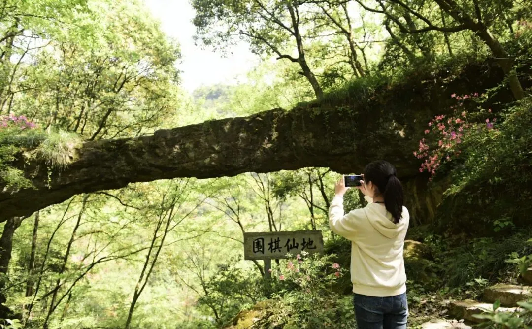 衢州女神节全攻略|景区免票+商场福利+手作观影,今天这样过!
