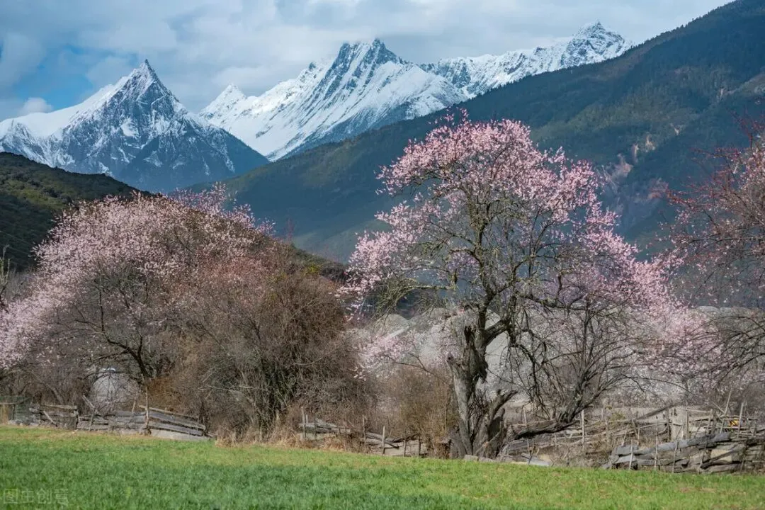 国内3月中下旬—4月景色好性价比高的旅游目的地推荐