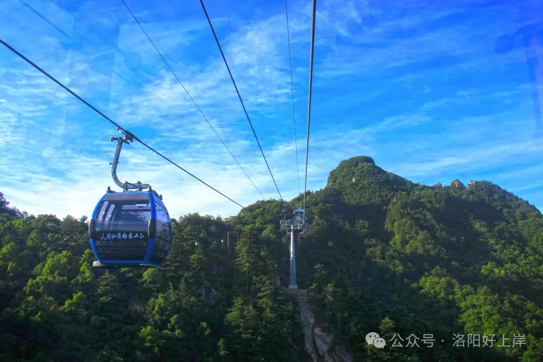 5A级景区,洛阳白云山招聘86人