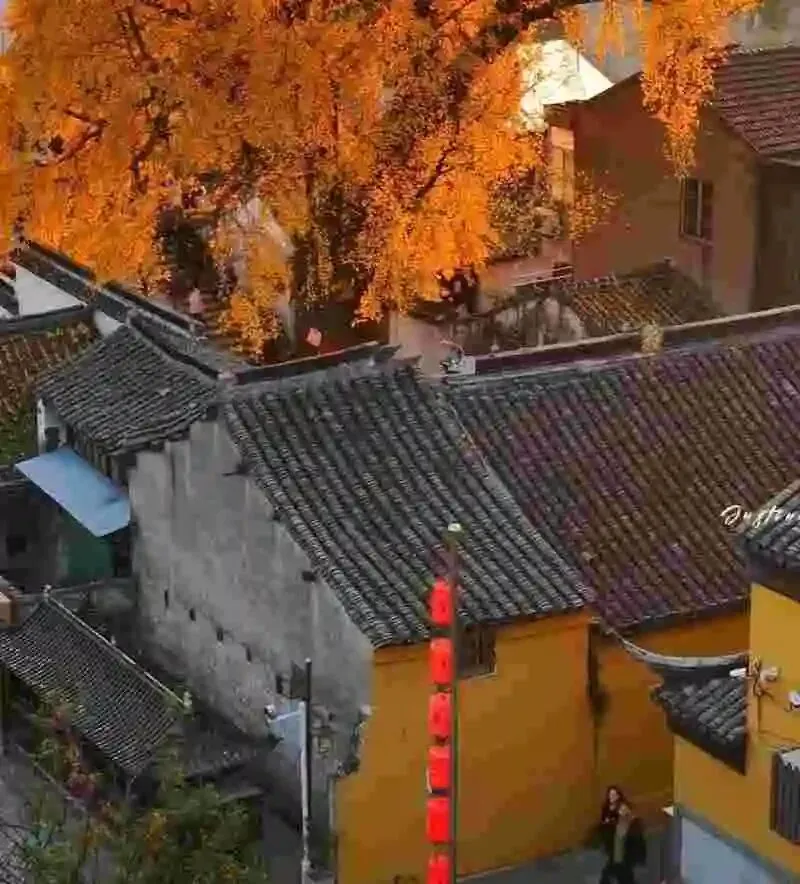 60岁前,一定要去的中国这3个5A景区,去过1个便觉把心愿完成了