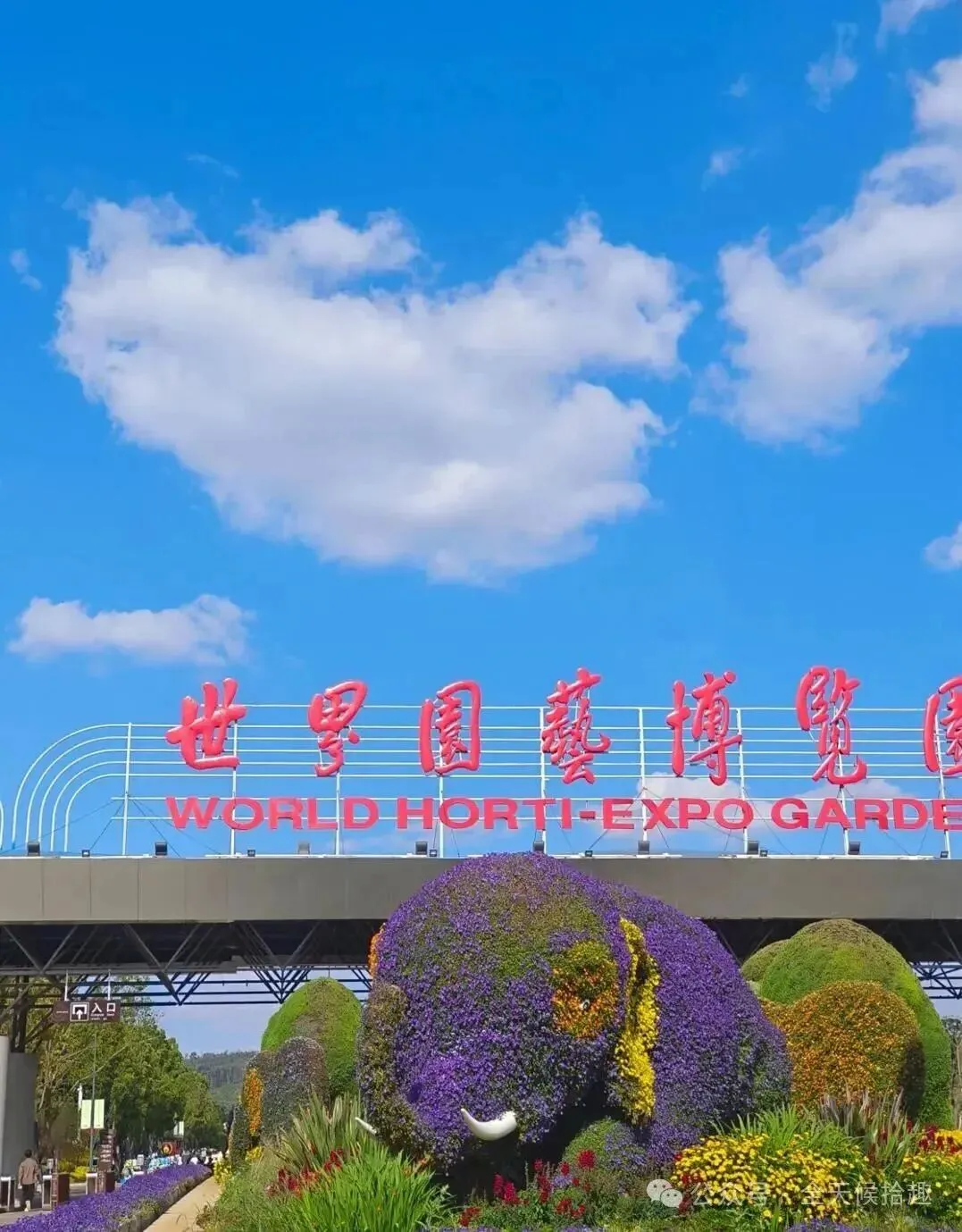 昆明及周边多个景点今天免票、半价!