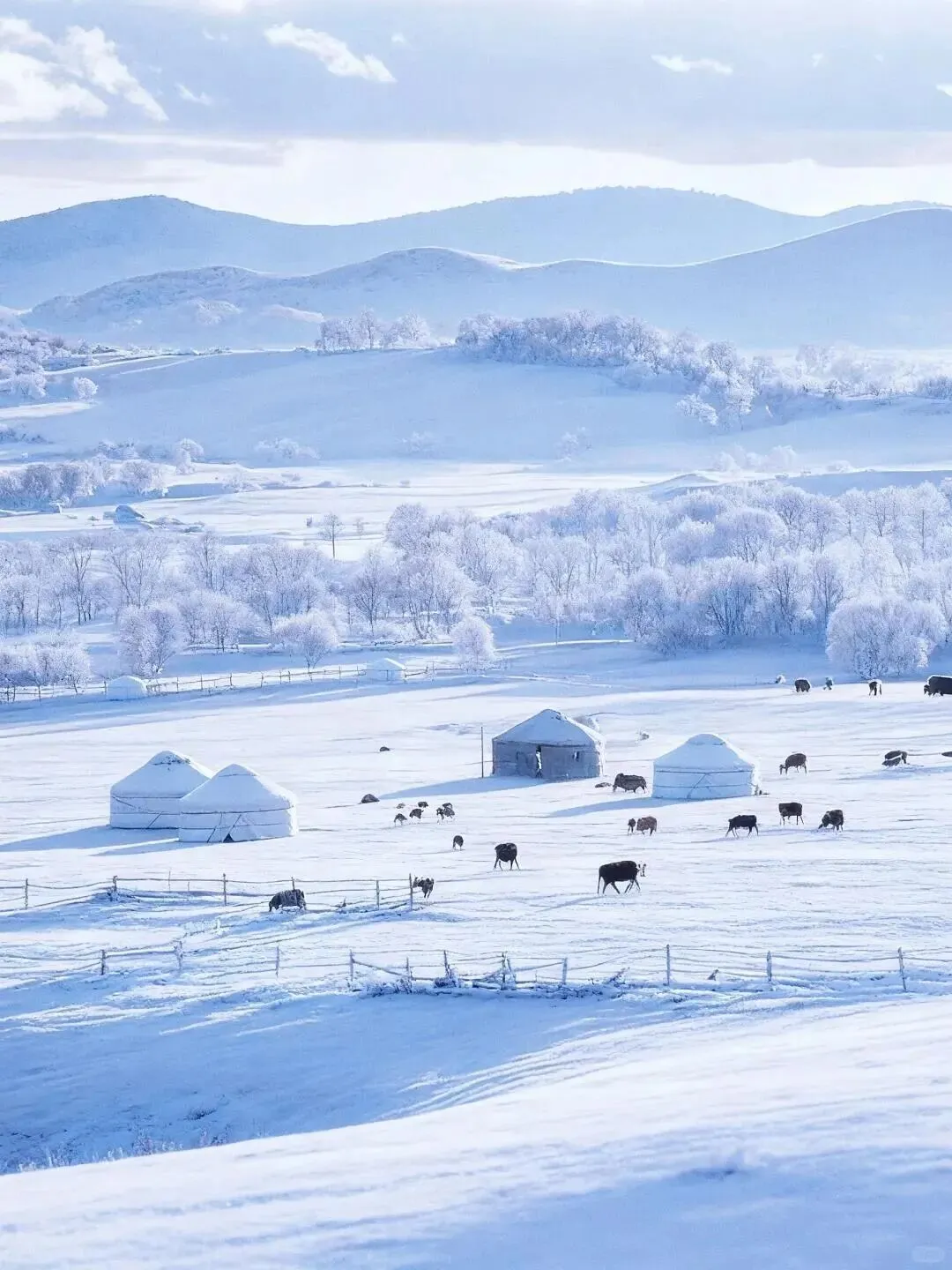 乌兰布统旅游已回,我的血泪教训!!!