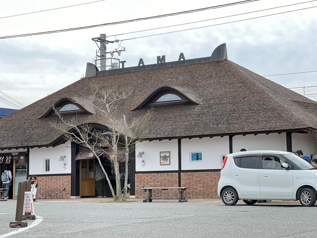 【2026和歌山縣自由行】 旅遊景點大介紹