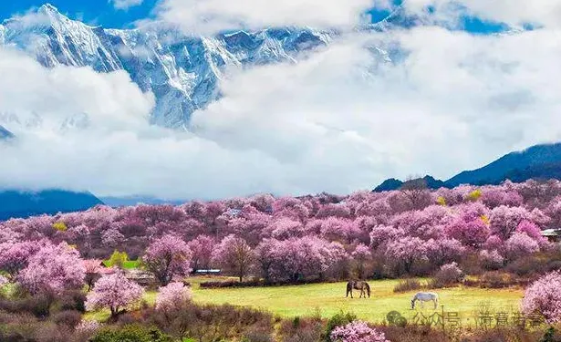 中国旅游适合三月四月份出游的绝美目的地,每一个都不虚此行!