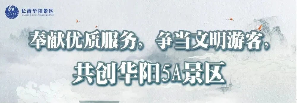 花开三月,女神同行,长青华阳景区与您共赴春天的美好!