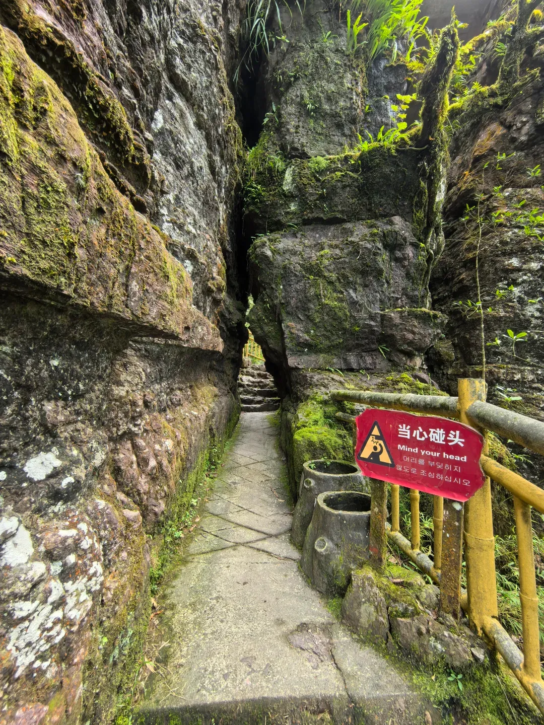 来宾旅游攻略必去景区