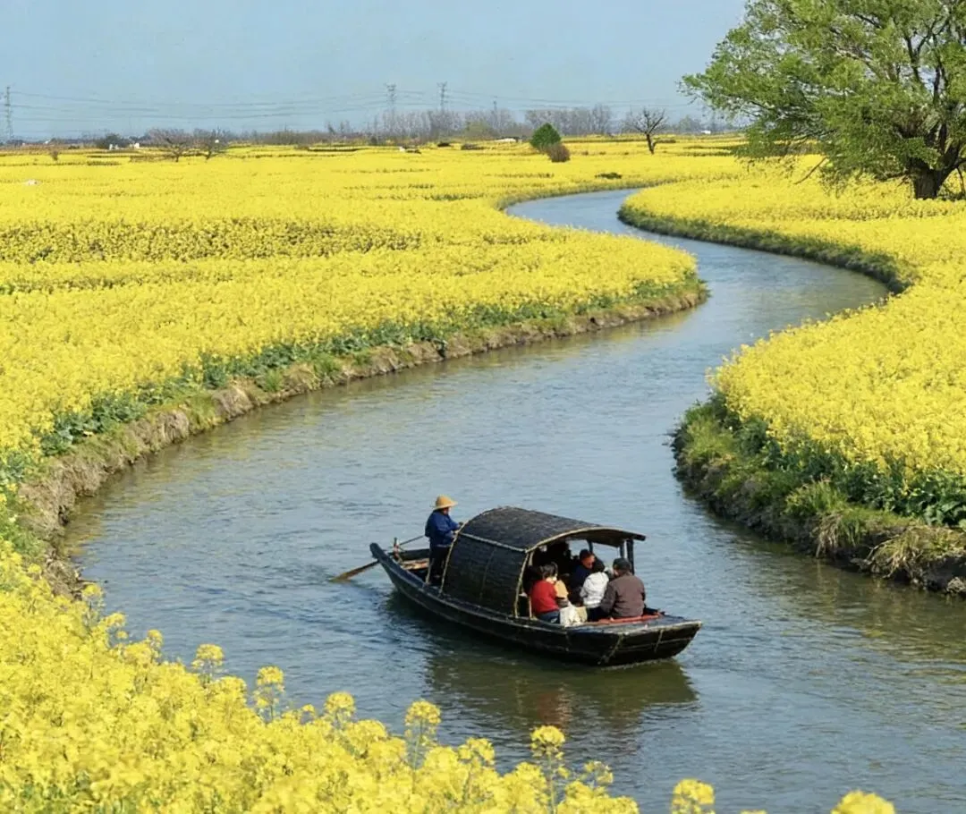 别再挤热门景点了!三四月去这3座小众小城,才是春游天花板