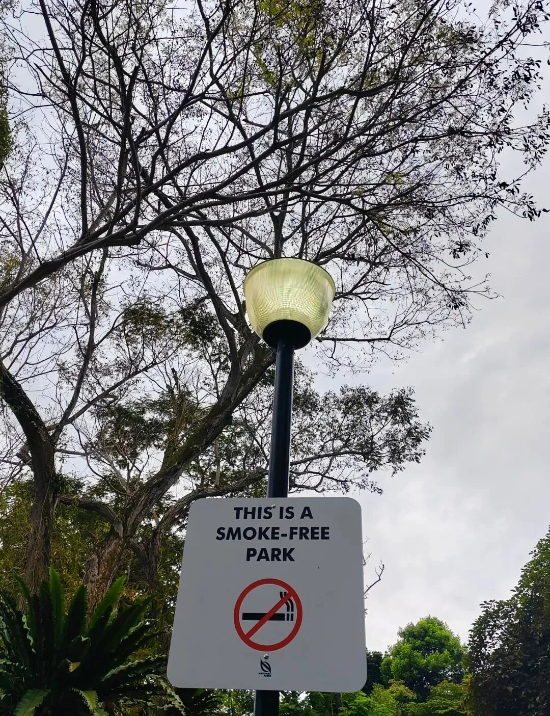 在新加坡旅游一定要认识这两张图