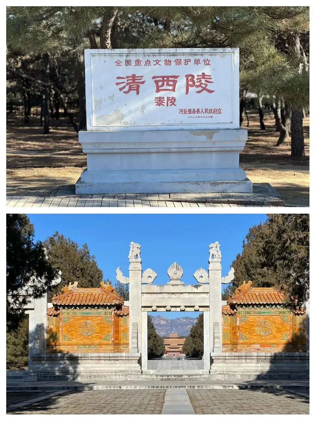 9个意大利人涌进保定,打着旅游的名义不看野三坡不逛白洋淀,不吃保定冰柿,想干嘛