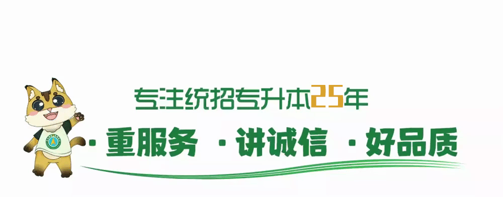 【课程更新】设计组&旅游组课程调整