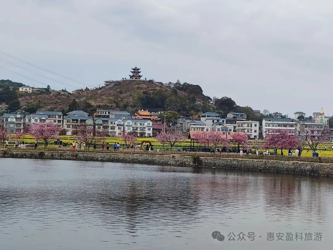 惠安盈科-携程旅游自组纯玩团-“小婺源”--莆田坪盘村赏油菜花+ “福建的都江堰”木兰陂+武林圣地--莆田南少林一日游