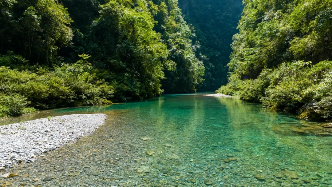 8个澳大利亚人涌进宜昌,打着旅游的名义不看三峡大坝不逛清江画廊,不吃凉虾,想干嘛