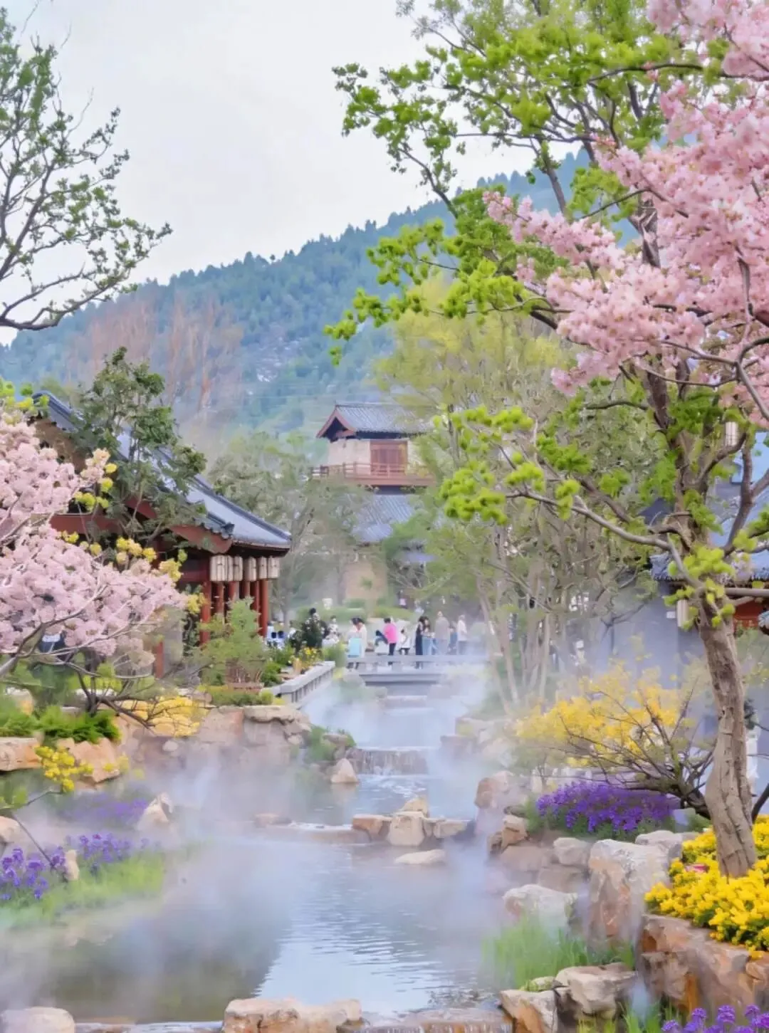 青春国际旅行社春季旅游路线报价