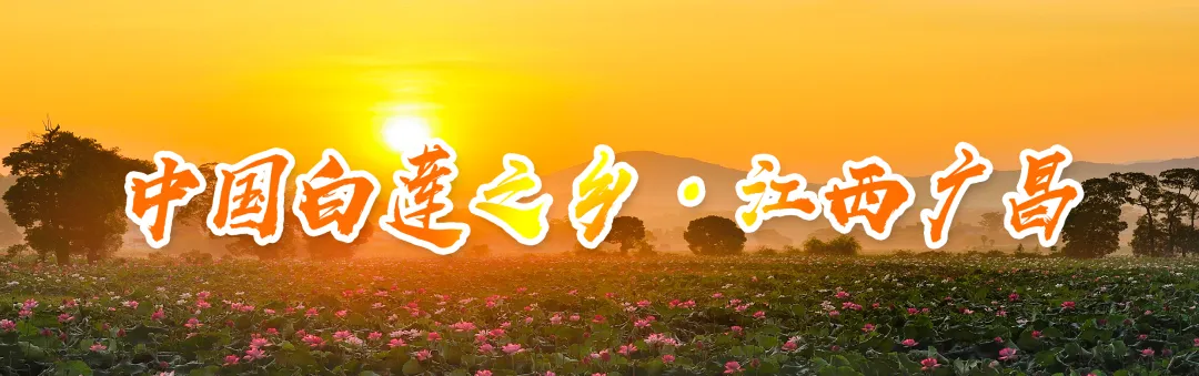 关于征集第二十一届广昌莲花旅游文化节活动建议的公告