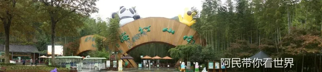 江苏5A级景区:常州溧阳南山竹海