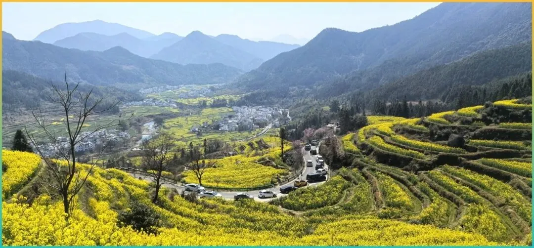 66岁前,一定要去的4个春日绝美景点,去过2个才不留遗憾,你去过几个?!