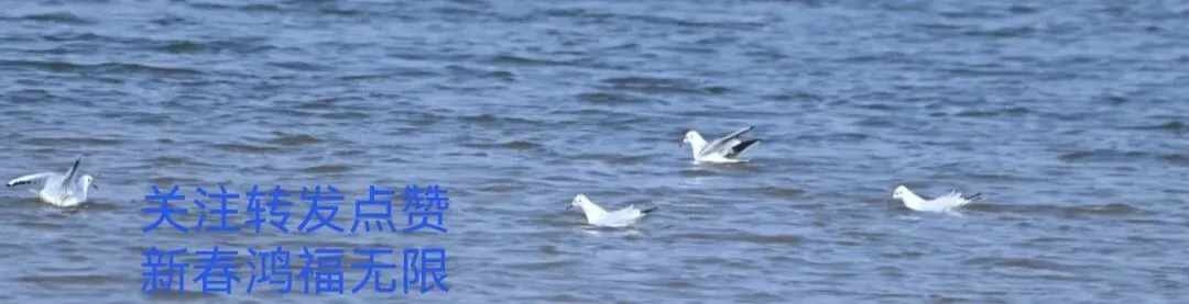 自然神秘温情融入(亚木沟景区)