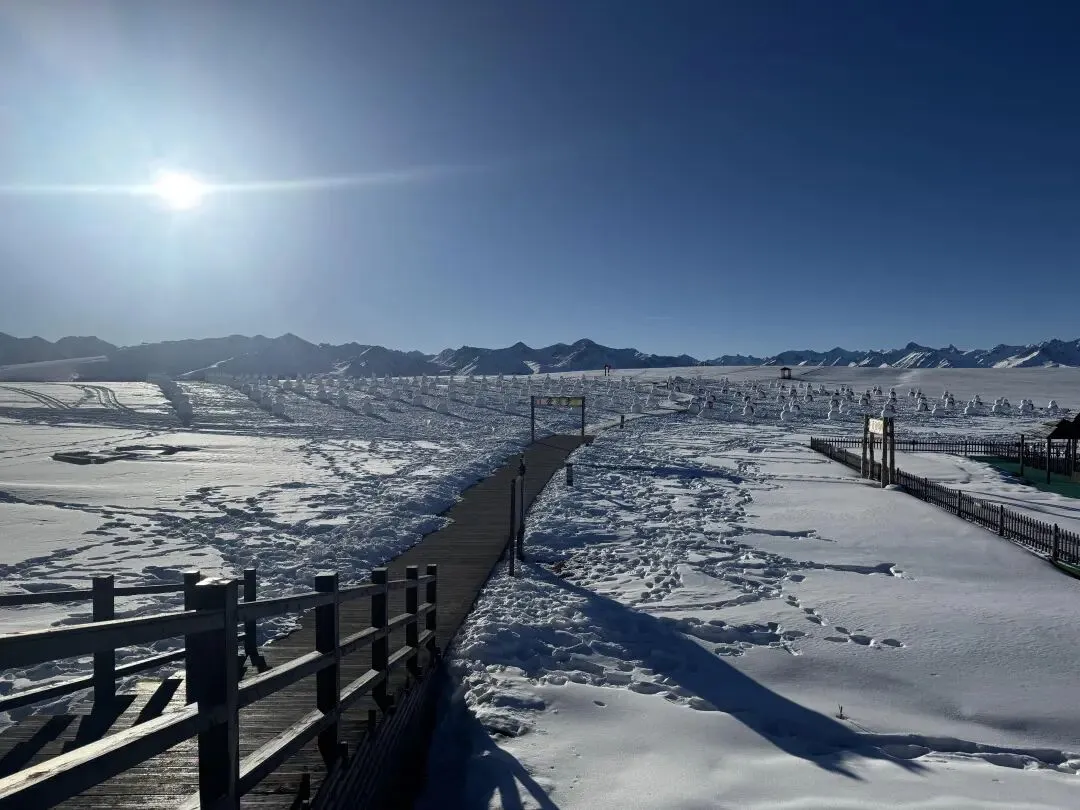 新疆旅游已回,我的血泪教训!!!