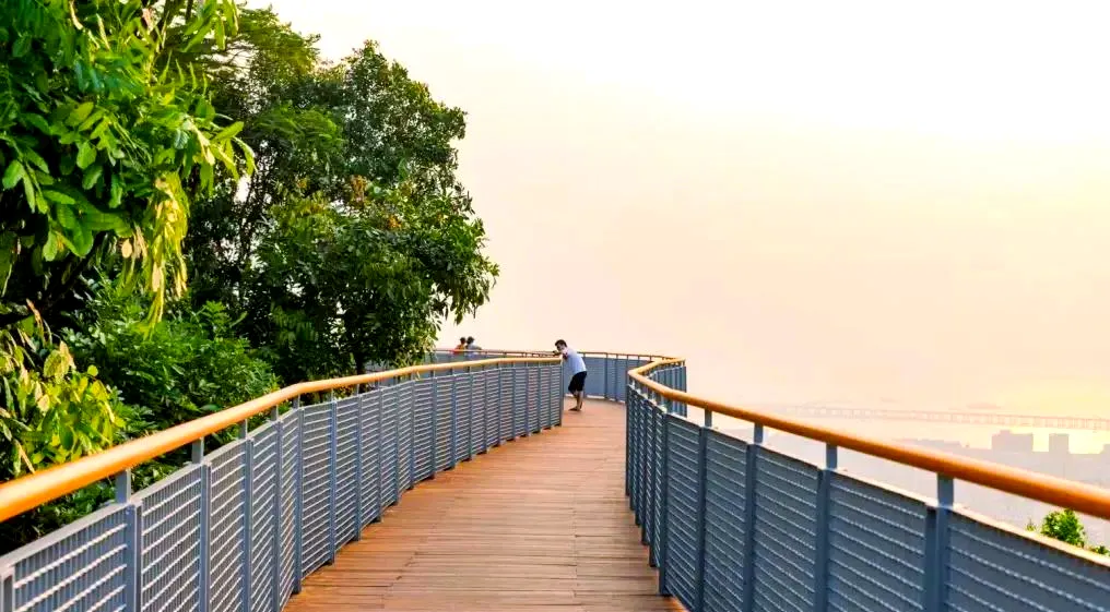 大批俄罗斯人“霸占”深圳街头,打着旅游的幌子,不逛世界之窗不看平安金融中心,到底被啥迷住了?