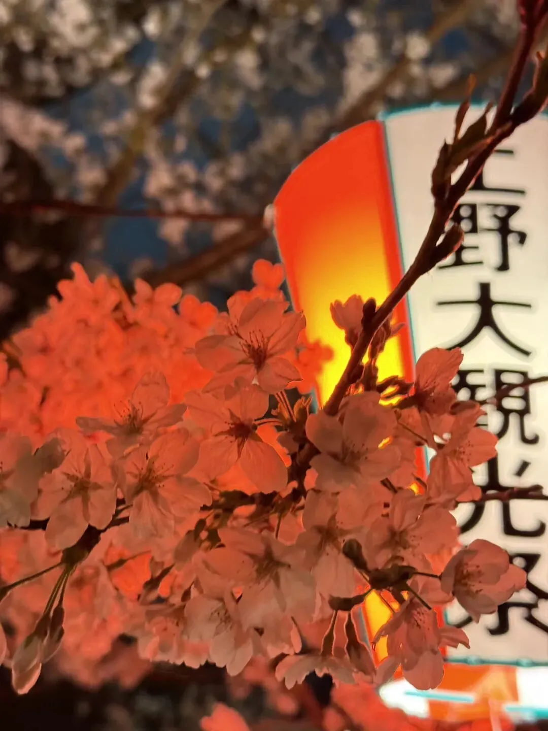 【2026東京都自由行】旅遊景點大介紹