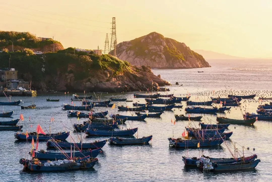 大量俄罗斯人突然涌入浙江舟山,打着旅游的幌子,不逛普陀山不看东极岛,背后的真相太离谱了!