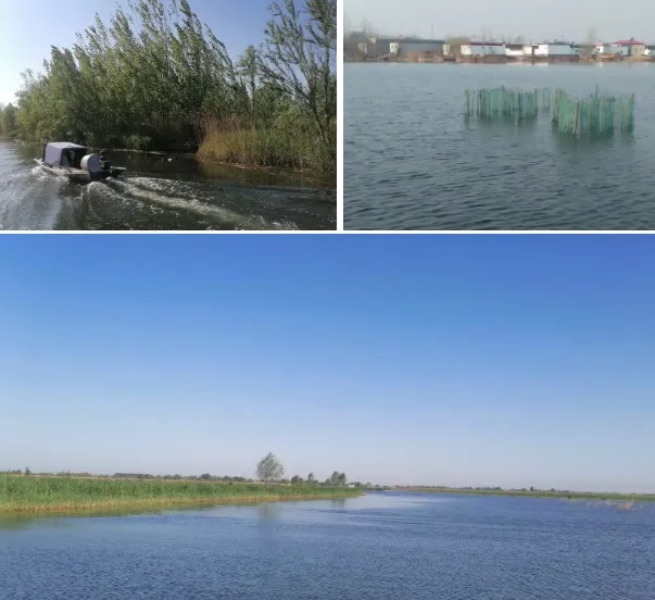 白洋淀旅游季能不能—春提前、秋延后