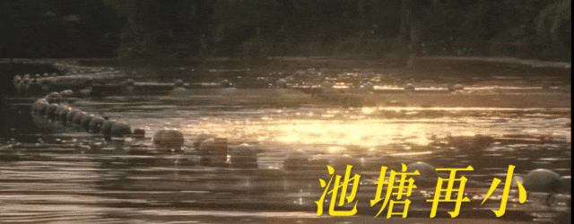 06大一,大学生应该攒钱还是旅游?这是我听过最好的答案.