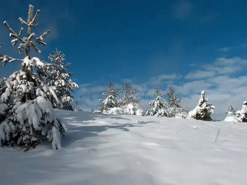 成都3天2晚超省心旅游攻略(纯干货·不踩坑版)