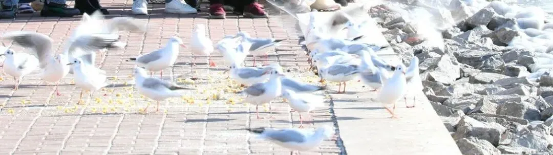 今早读 | 一景区拍综艺时让游客清场?当地景区回应