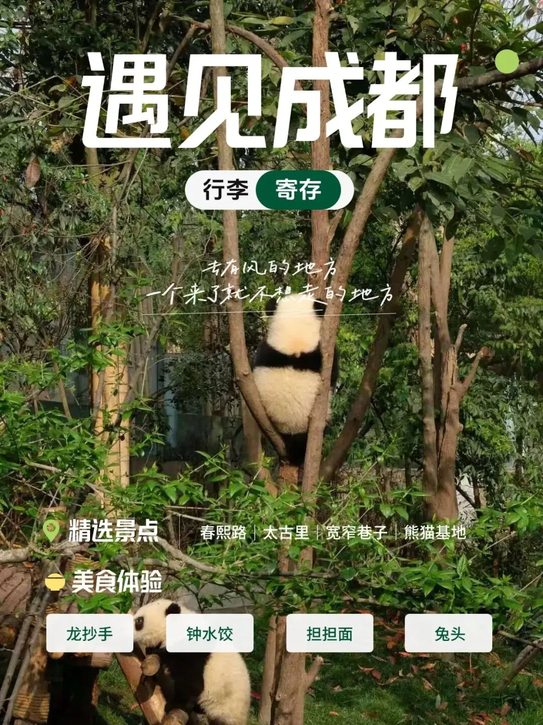 成都旅游攻略|寄存+逛吃全攻略!