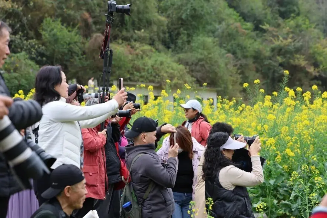 龙宫景区举办春季赏花摄影活动 光影笔墨绘就龙马画境春日美
