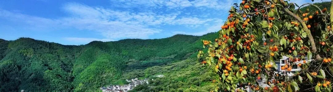 关于覆卮山景区本周六大巴车预约名额已满的温馨提示