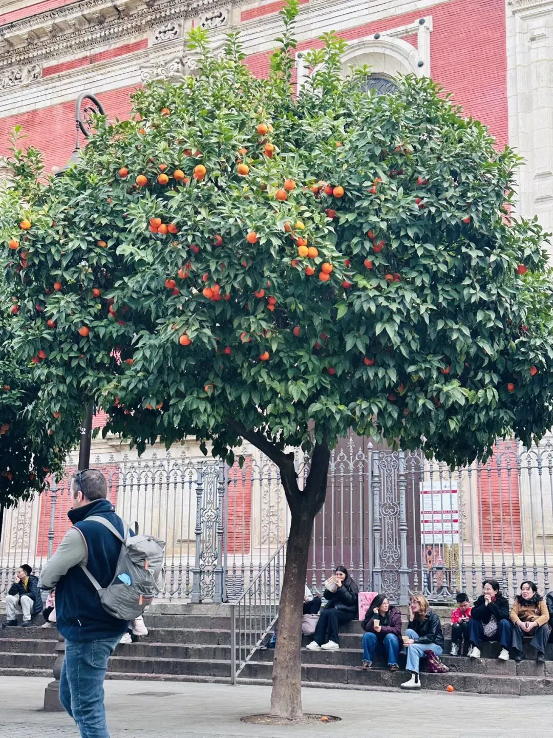 塞维利亚 | 加价买景点门票,没吓走中国人