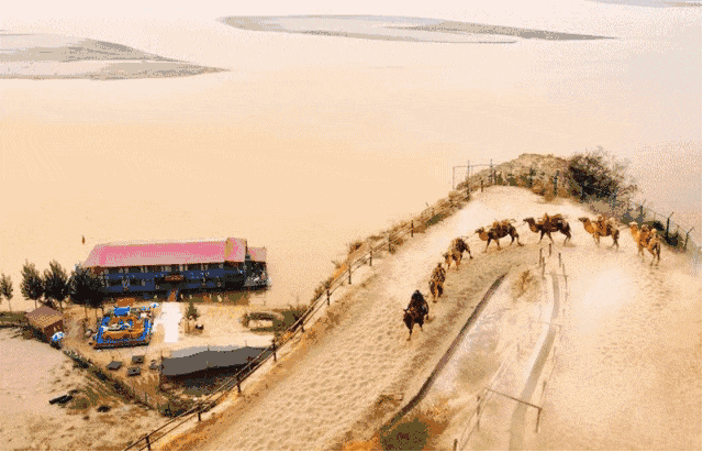 古柏渡飞黄景区+樱花园一日游